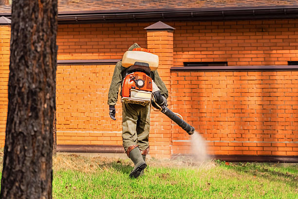 Bed Bug Clearance Verification and Documentation in Boulder Hill